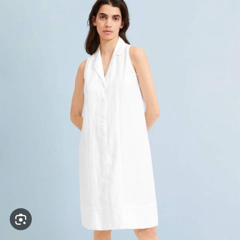Everlane: Sleeveless Linen Shirt Dress, size 8